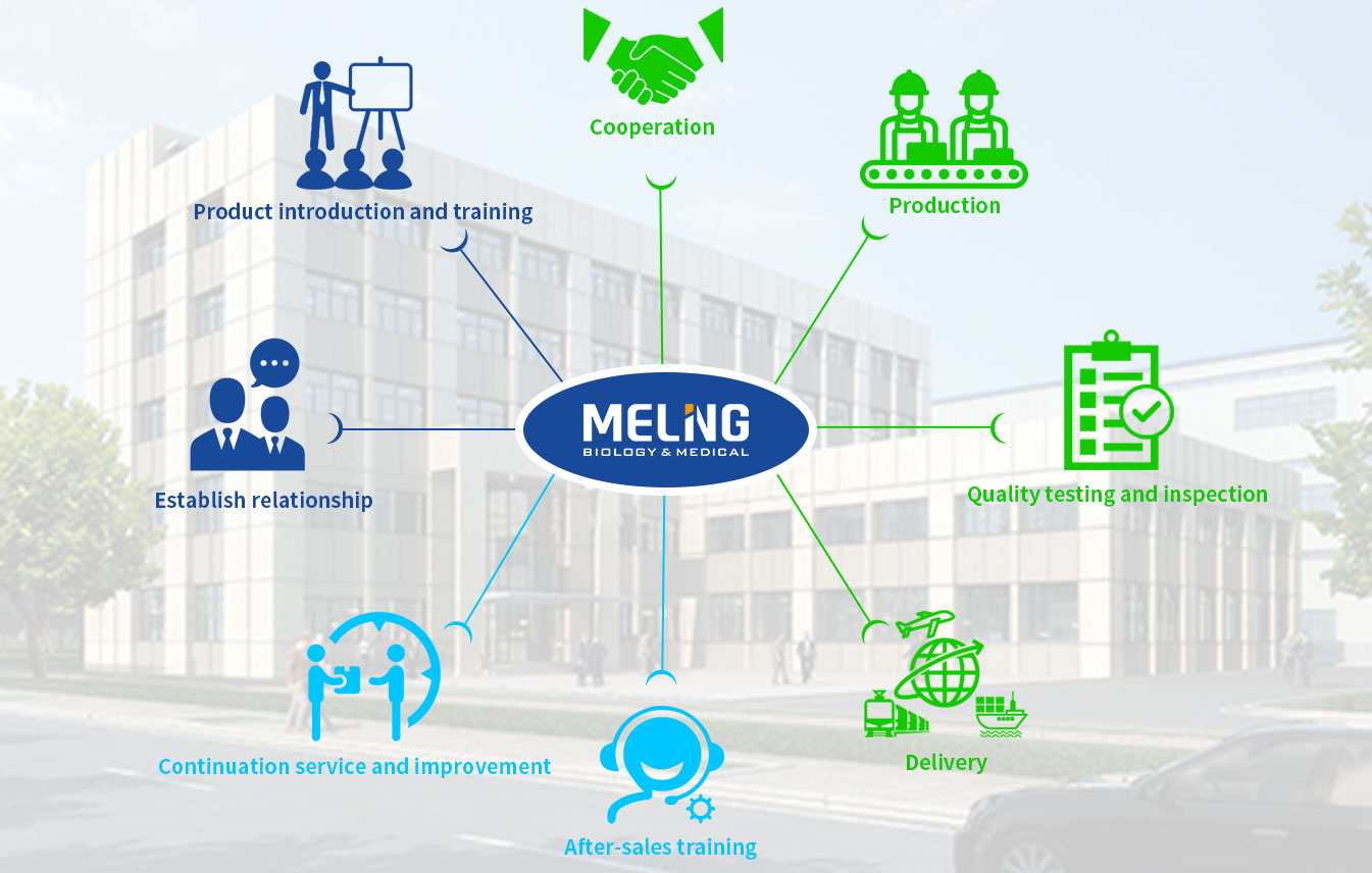 Meling servicicio de acompañamiento在工作过程中有自由